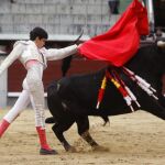 Pase de pecho del madrileño en una de sus actuaciones en el coso venteño