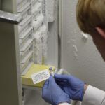 El ébola es una enfermedad rara cuya tasa de mortalidad en pacientes ha variado entre el 25 % y el 90 %