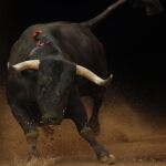 Imagen de un toro de Dolores Aguirre