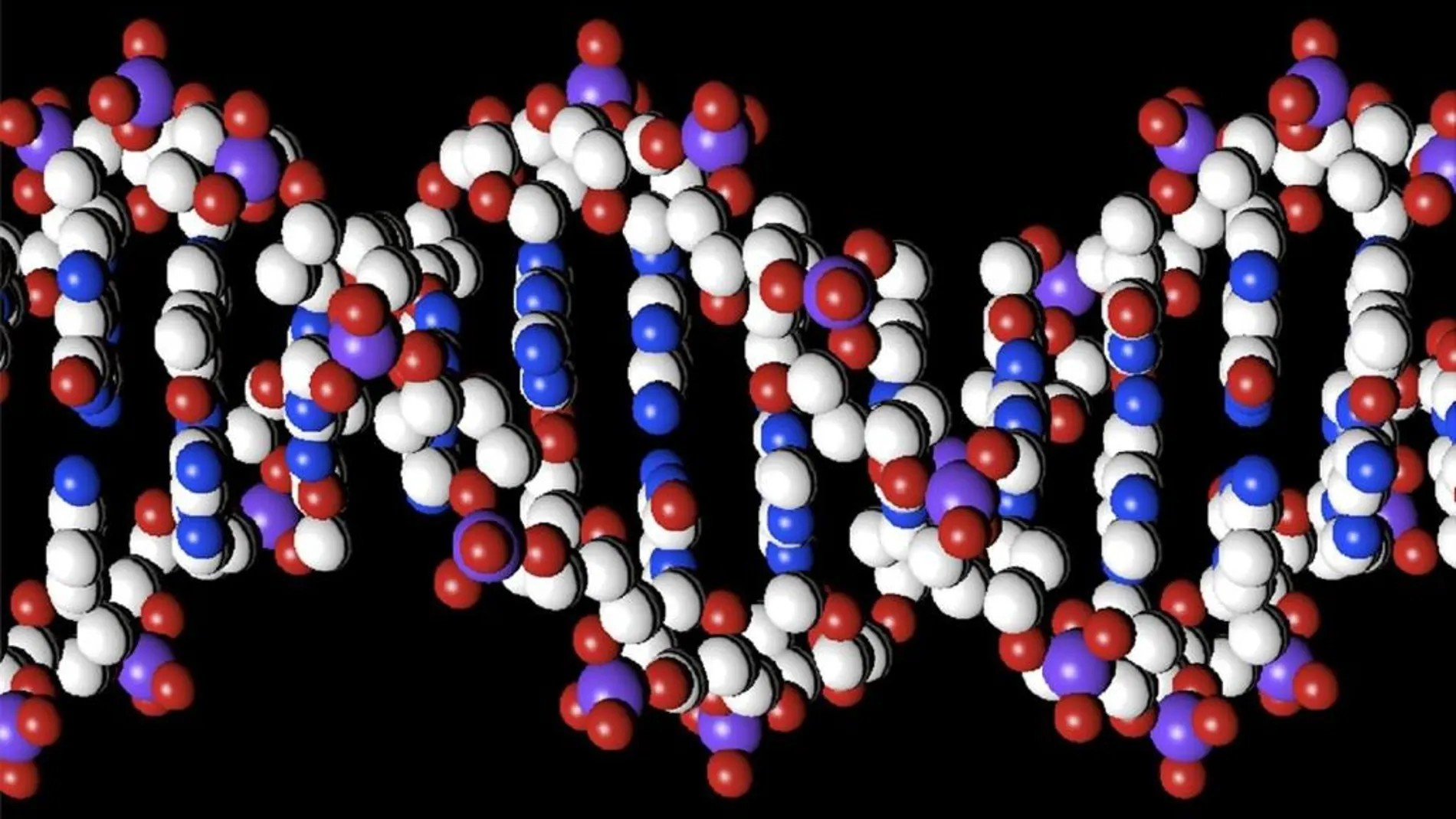 ADN