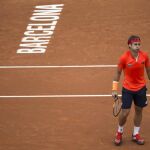 David Ferrer, tercer cabeza de serie en Barcelona