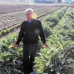 Entre las propuestas curiosas de la formación de Ribó se encuentra la de la creación de una Concejalía de Huerta y Agricultura para activar las zonas sin cultivar y crear una circunvalación agrícola