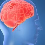 Incluir proteínas en cada comida (a ser posible de origen vegetal) es fundamental para mantener una buena salud mental