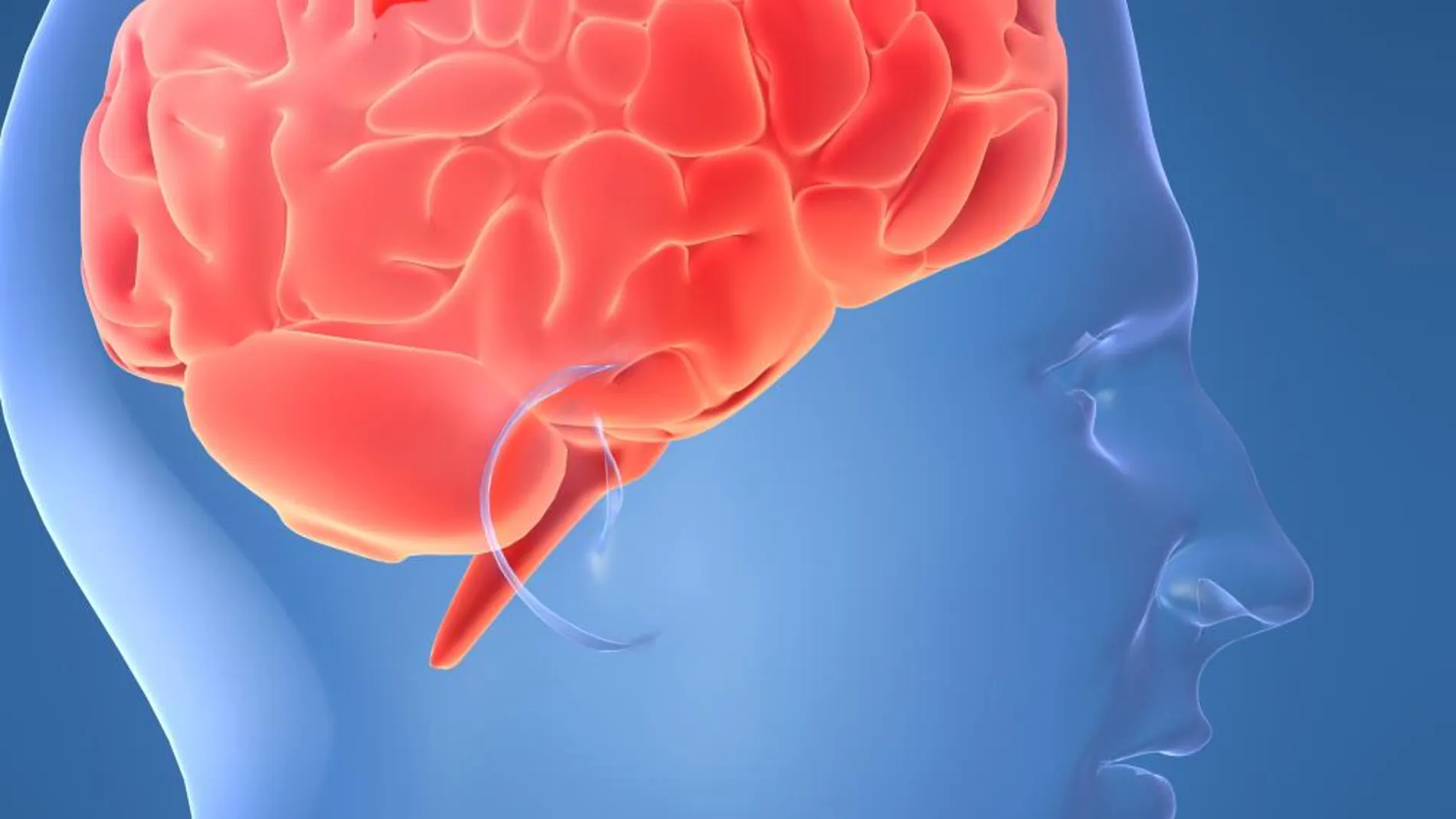 Incluir proteínas en cada comida (a ser posible de origen vegetal) es fundamental para mantener una buena salud mental