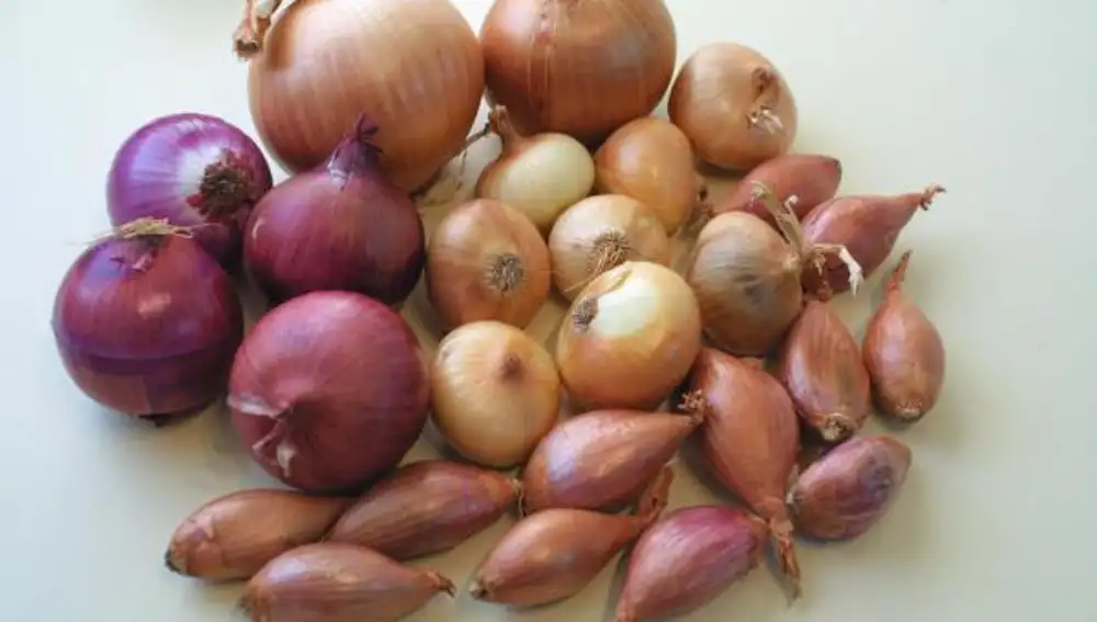 Cebollas