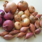 Cebollas