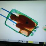 Adou fue descubierto el pasado día 7 de mayo en el interior de una maleta cuando iba a ser introducido en España
