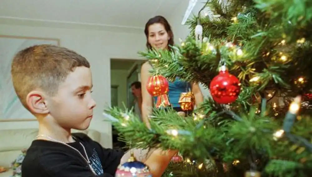 Más de dos millones de árboles de Navidad van a la basura cada año