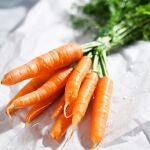 Aunque las zanahorias pueden cultivarse durante todo el año, son uno de los productos que más se plantan durante esta época