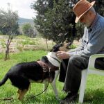 El perro terapia para el alzhéimer