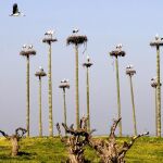 El cuaderno de Chapu Apaolaza: Milagro en Extremadura