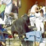El animal sembró el pánico en el tendido del coso navarro
