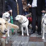 Detección canina