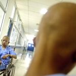 La leucemia tiene hasta el triple de probabilidades de curación en niños que en adultos