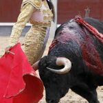 El madrileño Matías Tejela, ayer, en la plaza de Las Ventas