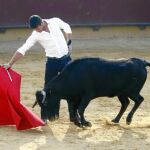Manzanares torea en redondo durante un tentadero, que reunió también a los otros dos protagonistas del año, El Juli y Talavante