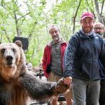 «¿Para qué sirve un oso?»: Eso mismo nos preguntamos