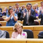 La bancada socialista aplaude al presidente tras su intervención en el Senado