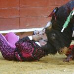 Morante de la Puebla fue cogido, ayer, en Almería