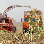 Asaja CyL considera un ataque al sector primario limitar el precio de los alimentos