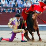 PORTADA_TOROS