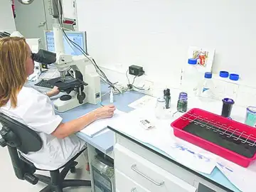Un laboratorio de genética donde se almacenan las muestras de ADN Un laboratorio de genética donde se almacenan las muestras de ADN