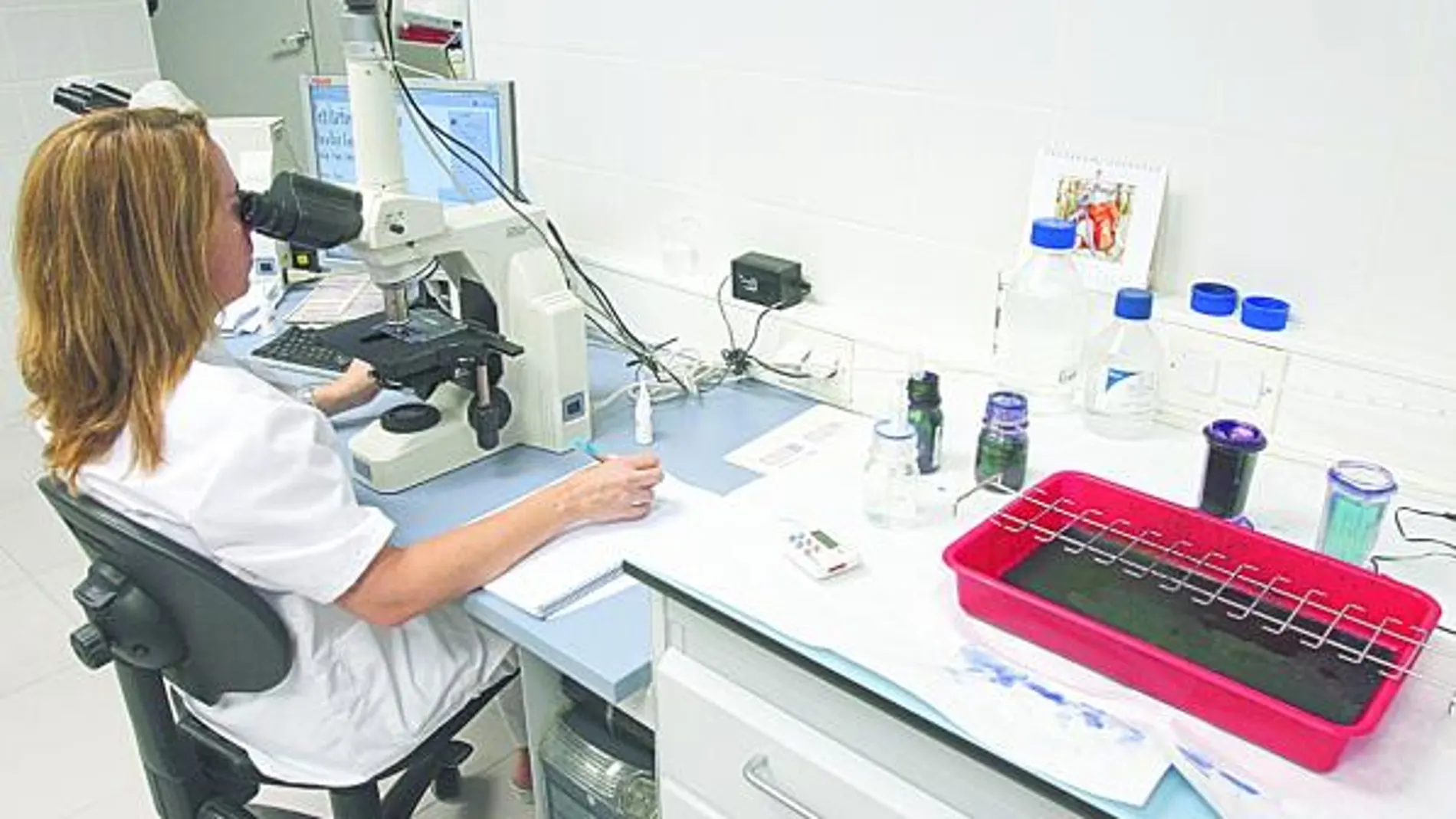 Un laboratorio de genética donde se almacenan las muestras de ADN