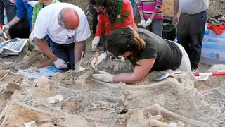 Trabajos en una fosa de la Guerra Civil Trabajos en una fosa de la Guerra Civil