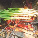 Calçots: antioxidantes de temporada