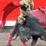 Raúl Velasco fue cogido sin consecuencias, ayer, en Bilbao