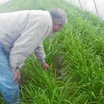 Terra Fecundis recurrirá la sentencia francesa que les condena por impago de cotizaciones laborales en el país galo