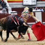 TOROS_BUENA