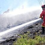 Un retén de operarios hace frente a un incendio en la zona soriana de Medinaceli