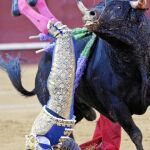 Puerto, corneado en Málaga