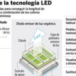 DESCARGUE EL GRÁFICO COMPLETO EN «CONTENIDOS RELACIONADOS»