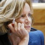 El Ministerio de Elena Salgado coordina el proyecto de ley, en el que participan también varios ministerios
