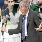 Zeljko Obradovic regresará al banquillo del Partizán 28 años después