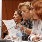 Bildu adelanta al día 13 la formación de las Juntas para evitar el pacto PP-PNV-PSE