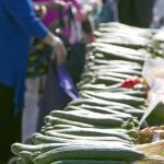 «Sanas, seguras, sabrosas. Consúmelas». Éste fue el lema bajo el que la asociación COAG repartió ayer en Madrid 40.000 kilos de frutas y hortalizas