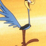 Imagen del dibujo del correcaminos