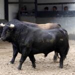 El viaje más esperado de «Supervisor»