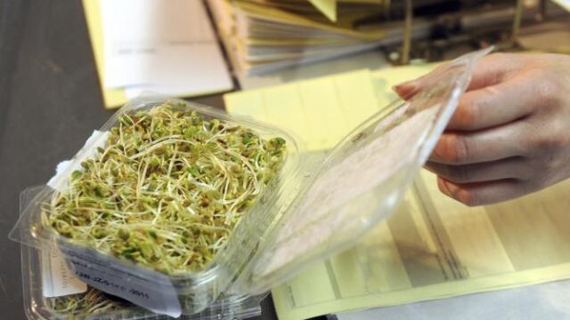 Análisis a unos brotes de soja en Baja Sajonia