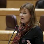 La ministra de Sanidad, Política Social e Igualdad, Leire Pajín