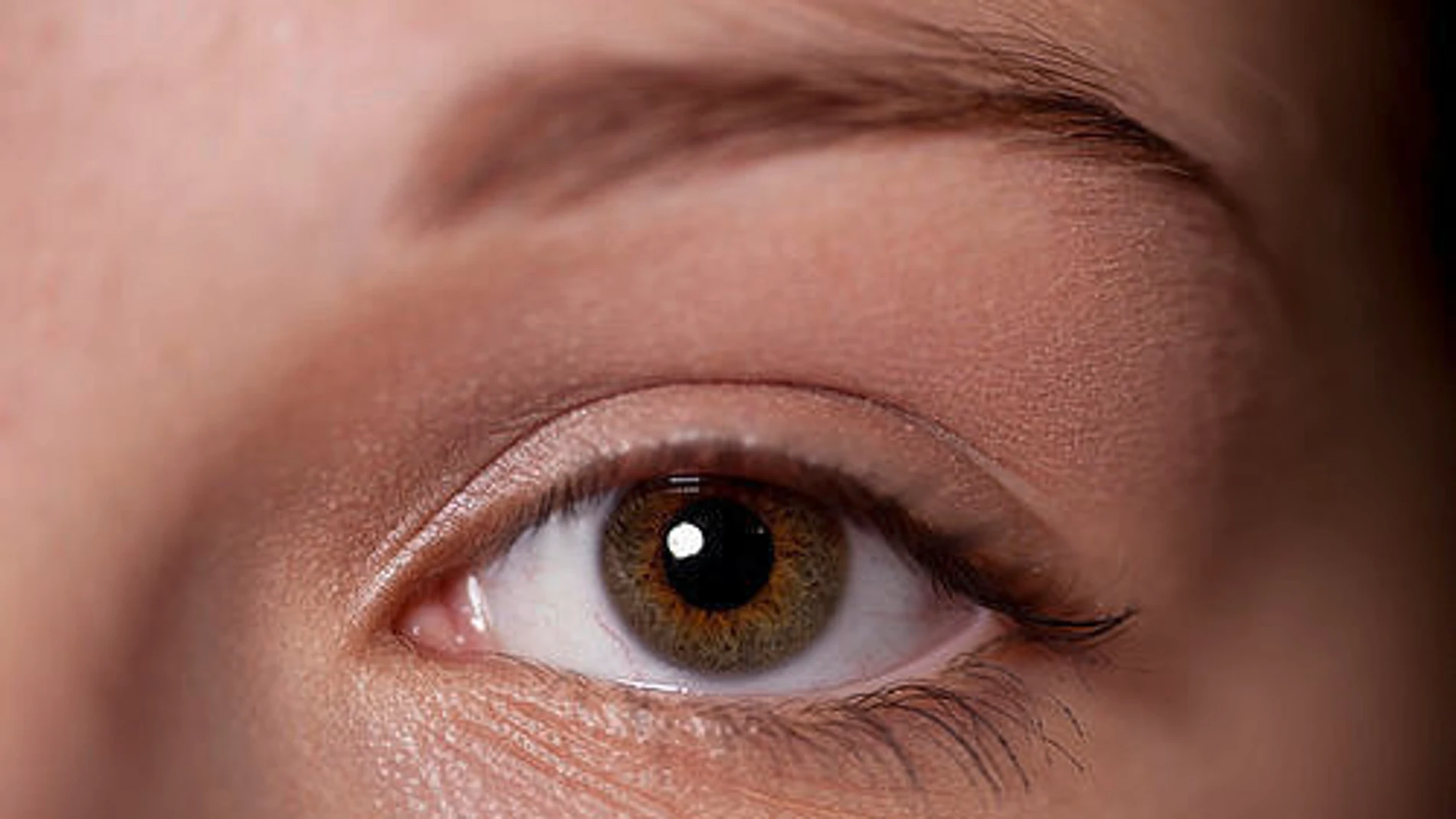Japón «produce» los primeros ojos embrionarios con células madre
