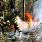 Recoger rastrojos reduciría los incendios un 70 por ciento