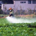 Un agricultor fumiga una plantación