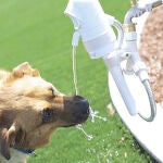 Una fuente automática de agua para el perro
