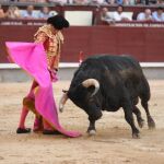 El Certamen de novilladas nocturnas sin triunfador