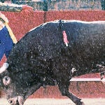 De toreo liviano y otras cuestiones