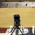 Castilla y León abre el proceso para declarar los toros Bien de Interés Cultural